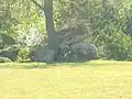 Dolmen du Ver