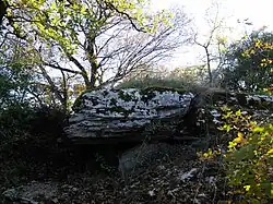 Dolmen le Douyounet