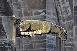 Wasserspeier