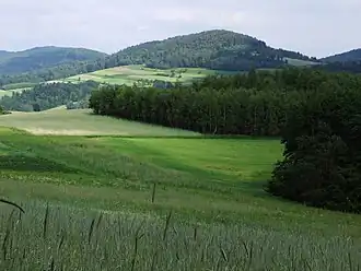 Dominiczna Góra