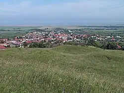 Die Keltengrabhügel oberhalb von Donnerskirchen (2013)