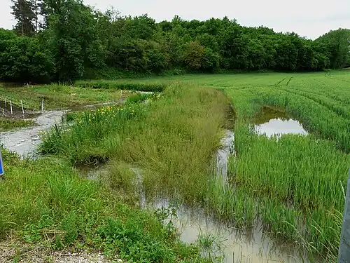 Die Donzelle unterhalb vom Lieu-dit Moulin de Pontey