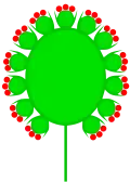 Doppelkörbchen