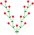 Doppelwickel