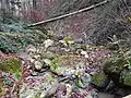 Im Bachtobel bei der Einmündung des Gringlenbachs