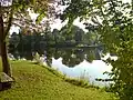 Limbacher Dorfweiher