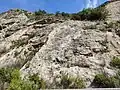 Fossilienfundstelle