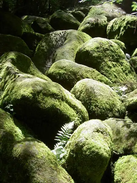 Naturschutzgebiet Doost