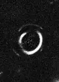Doppelter Einsteinring SDSS J0946 1006