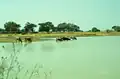 Ein Regenrückhaltebecken im Februar 1999