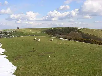 Walbury Hill von Combe Gibbet aus gesehen