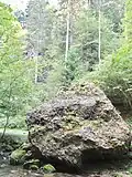 Verkleinerter und gesicherter Drachenkopf unterhalb Schneise