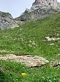 Die letzten Meter