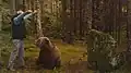 Braunbär bei den Dreharbeiten in Die Bergwacht
