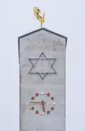Der Weihnachtsstern am Tag