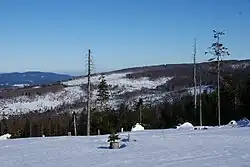 Blick nach Südosten auf den vom Borkenkäfer geschädigten Wald