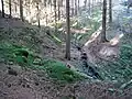 Östlicher Quellsiefen