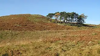 Dreva Fort