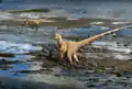 Dromaeosaurus