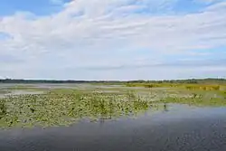 Druzno (2016)