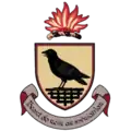 Wappen und Flagge der Grafschaft Dublin