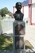 Büste von Milić Drinčić
