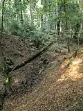 Oberlauf der Düte, östlich des Hohnsberges