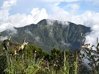 Gipfel des Dulang-dulang