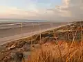 Dünen an der Küste