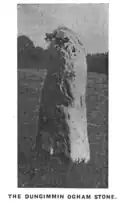 Oghamstein von Dungummin