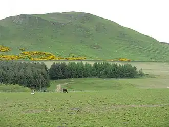 Dunsyre Hill