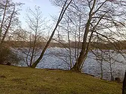 Flachweiher