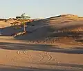 Eine Düne in Yyteri