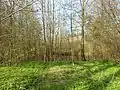 Teich im Park