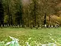 Alter Judenfriedhof 2015 am Ehrbach im Brodenbacher Ortsteil Ehrenburgertal