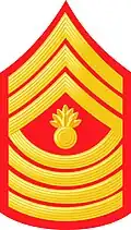 MGySgt
