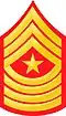 SgtMaj