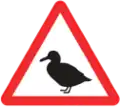 Vögel