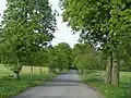 Kastanienallee am Dürrerhof