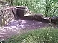 Gebäudereste im Zentrum der Ruine