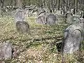 Historischer Jüdischer Friedhof vor der Stadt