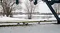 Echinger See im Winter