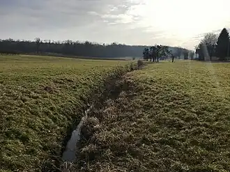 Der Eckertsbach