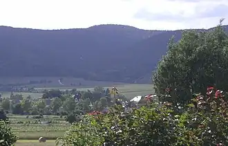 Eckkopf (Bildmitte) von Deidesheim aus