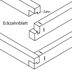Eckverbindung: Eckzahnblatt