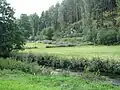 Naturbelassene Eger unterhalb des Egerstaus
