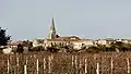 Sainte-Marie-de-Ré hinter den Weingärten (Blick nach Süd-Ost)