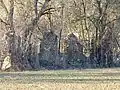 Ruine der Tonemühle