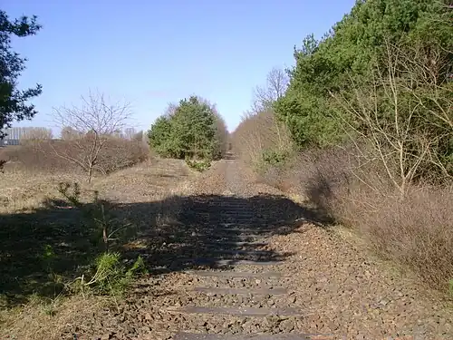 Abzweig (links) des ehemaligen Werkanschlusses von der ehemaligen Bahnstrecke Oranienburg-Kremmen (rechts) bei km 32,4 (Lage52.74405060816213.20908010006)