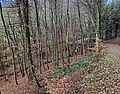 Kerbtal des Ehrenberger Baches mit Wanderweg A6